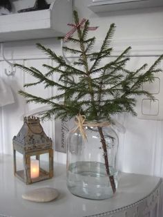 a small pine tree in a glass jar on a table with a candle and lantern