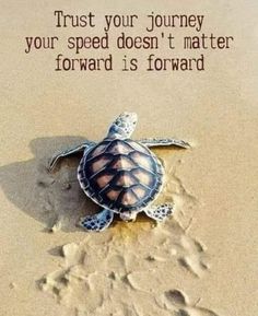 a turtle is on the sand with a quote about it's journey and its meaning