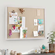 a bulletin board mounted to the side of a wall next to a potted plant