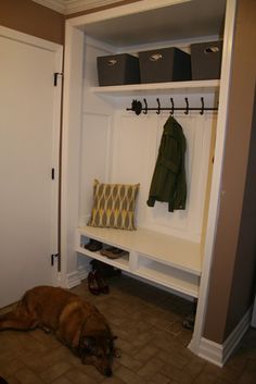 a dog laying on the floor in front of a closet