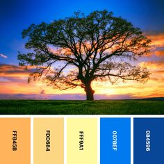 a tree in the middle of a field with blue, yellow and orange hues