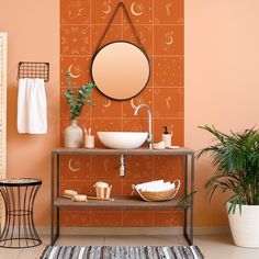 a bathroom with an orange wall and white sink in the center, next to a potted plant