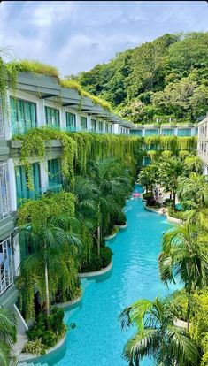 an outdoor swimming pool surrounded by palm trees and greenery on the side of a building