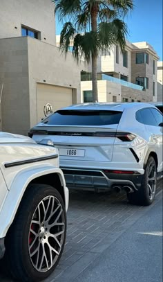 two white suvs parked next to each other on the side of a road with palm trees