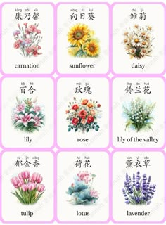 an image of flowers in english and chinese