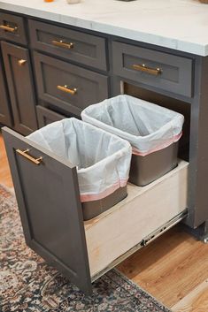 two trash cans are in the bottom drawer of a kitchen cabinet