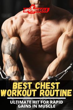 the best chest workout routine for men to gain muscle muscles and build more than any body