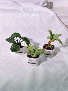 three small potted plants sitting on top of a bed