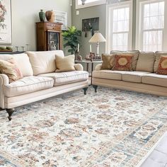 a living room with two couches and a rug