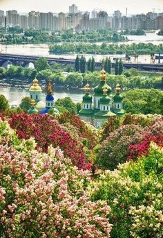 the city is surrounded by colorful trees and flowers, with a river in the background