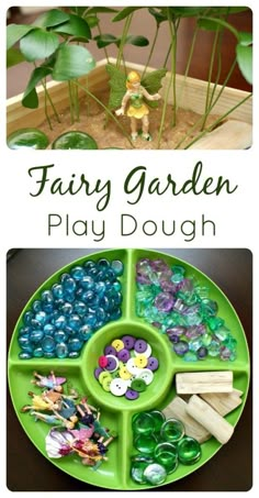 a green tray filled with rocks and plants