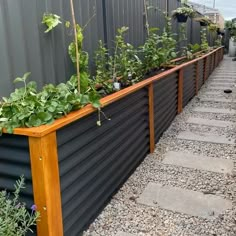 an outdoor garden with plants growing in the planter boxes on the side of the building