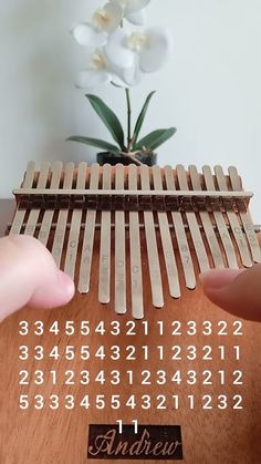 a person is holding a wooden musical instrument with numbers on the front and back sides