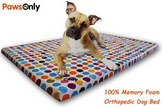 a dog laying on top of a multicolored polka dot memory foam bed cover