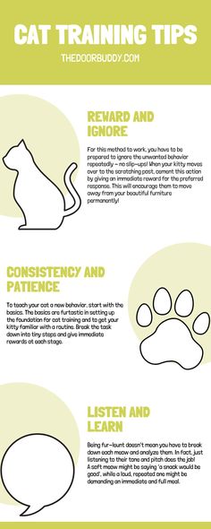 the cat training tips poster shows how to use it for cats and kittens, as well as instructions