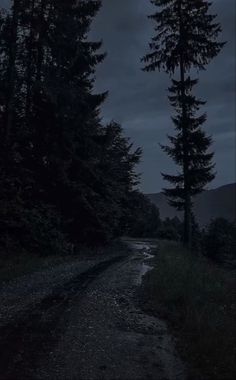 an empty road in the woods at night