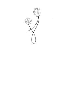 a black and white drawing of two flowers on a white background, with one single flower in the foreground