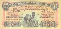 the national bank of egypt, issued in 1932 with an image of a camel on it