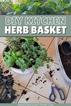 the diy kitchen herb basket is filled with herbs and dirt, next to gardening utensils