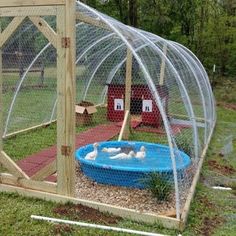 a chicken coop with a small pool in the middle