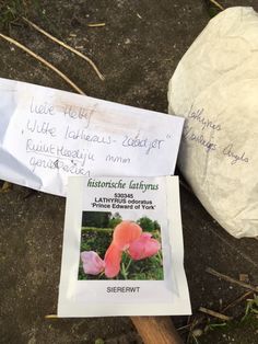 a note left on the ground next to a rock with flowers in it and another note