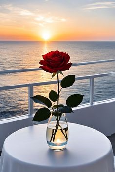 a red rose sitting in a vase on top of a table next to the ocean