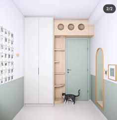 a black cat standing in the middle of a room next to a white door and shelves