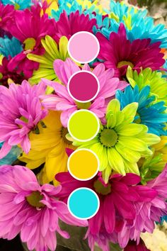 colorful flowers are arranged in a vase with circles on the top and bottom, as well as dots above them