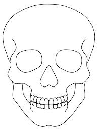 a drawing of a skull with no teeth