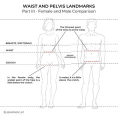 a diagram showing how to measure the waist and pel's landmarks for female and male legs