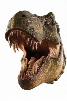 a close up of a dinosaur's head with it's mouth open