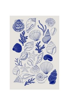 blue and white drawing of sea shells