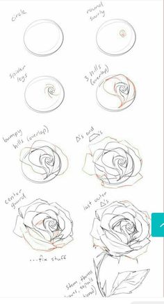 the process for drawing roses is shown in this screenshoter's screen shot