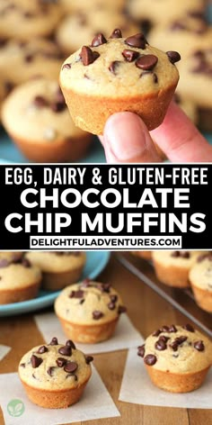 egg, dairy and gluten - free chocolate chip muffins are the perfect breakfast treat