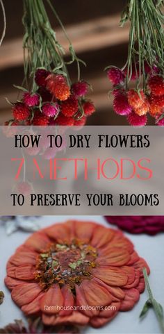 two pictures, one of flowers hanging to dry, and one of pressed flowers How To Dry Your Own Flowers, Diy Preserving Flowers, Drying Fresh Flowers, How Dry Flowers, Dried Flower Organization, Best Flowers To Dry Out, Drying And Preserving Flowers, Died Flowers Decor, How To Dry Carnations