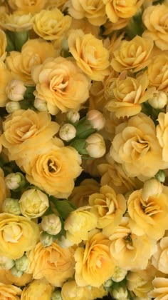 many yellow flowers are arranged together in this close up photo