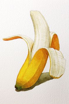 a drawing of a peeled banana on a white background