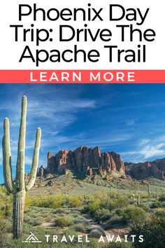 a book cover with an image of a cactus and mountains in the background