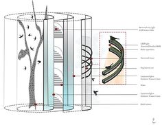 an image of the inside of a building with different parts labeled in each section, including trees and birds