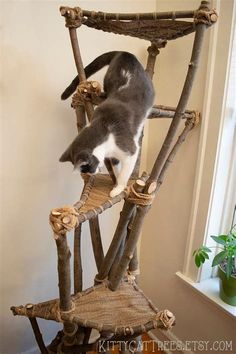 a cat climbing on top of a chair made out of sticks and wood with another cat standing on it's back legs