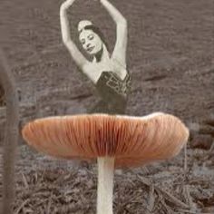 a woman standing on top of a mushroom with her arms in the air