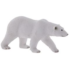 a white polar bear standing on its hind legs in front of a white background and looking at the ground