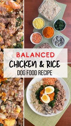 chicken and rice dog food recipe collage with text overlay that reads balanced chicken and rice dog food recipe