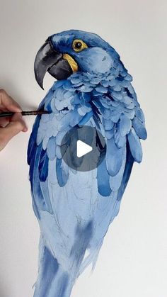 a painting of a blue parrot with yellow eyes being worked on by a person holding a paintbrush