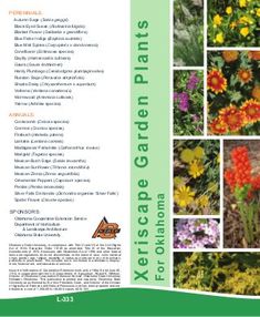 the back cover of a brochure with pictures of flowers and plants in it