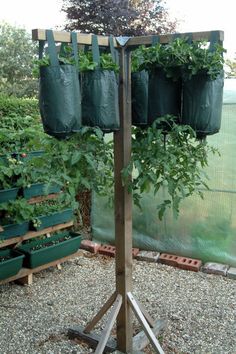 several green bags are hanging from a pole in the middle of an outdoor garden area