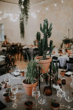 there are many plants in the potted planters on the tables at this wedding reception