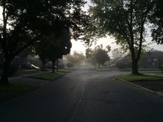 an empty street lined with trees in the middle of a residential neighborhood at sunset or dawn