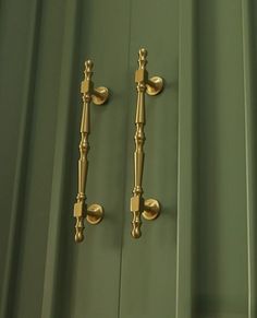 two golden handles on a green door