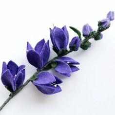 purple flowers with green stems on a white surface